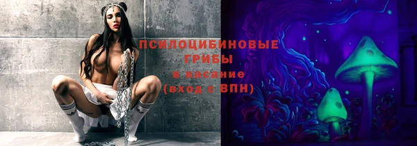 индика Балабаново