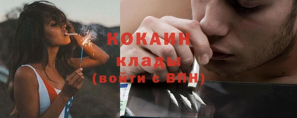 индика Балабаново