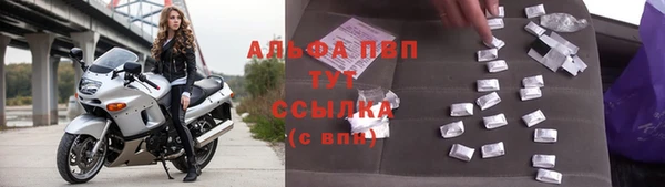 индика Балабаново