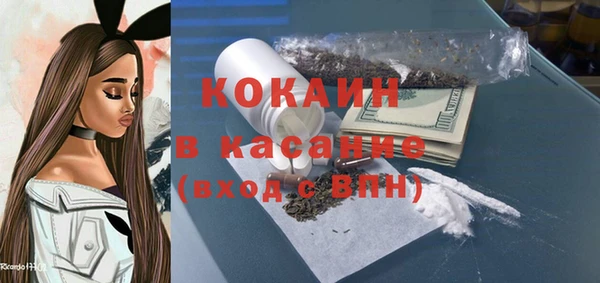 индика Балабаново