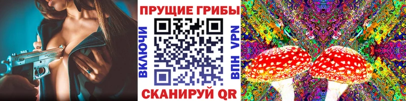 Галлюциногенные грибы Magic Shrooms  kraken зеркало  Олонец 